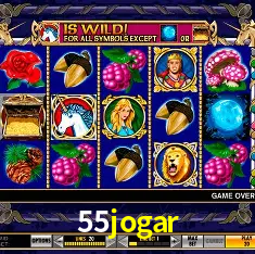 55jogar Rio de Janeiro - Bonus Terms